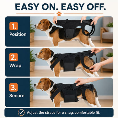 Paws in Awe Dog Back Support Brace for Senior & Recovering Dogs - Full-Body Mobility Vest for Walking Stability image 5