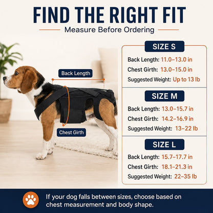Paws in Awe Dog Back Support Brace for Senior & Recovering Dogs - Full-Body Mobility Vest for Walking Stability image 7