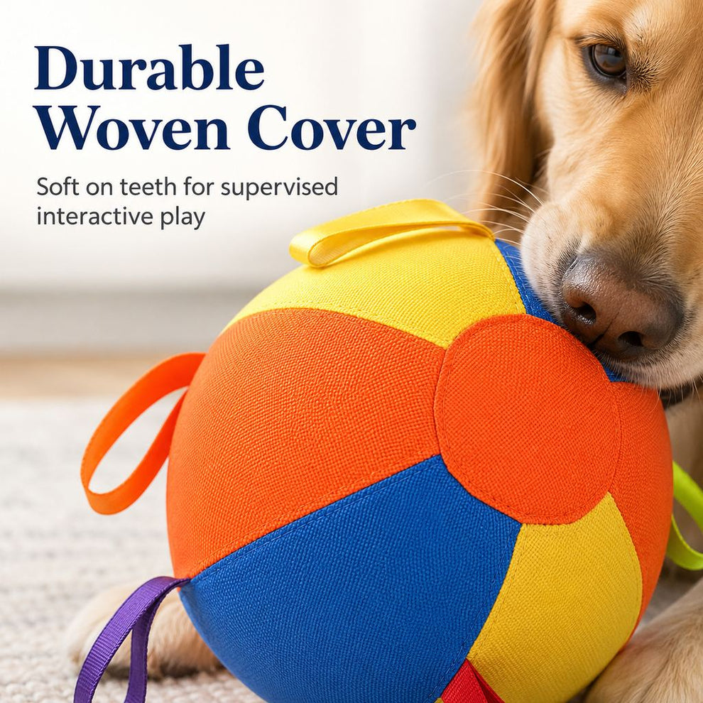 Paws in Awe Inflatable Dog Play Ball for Backyard & Indoor Play - Oversized Chase and Tug Toy to Burn Energy and Ease Boredom image 7