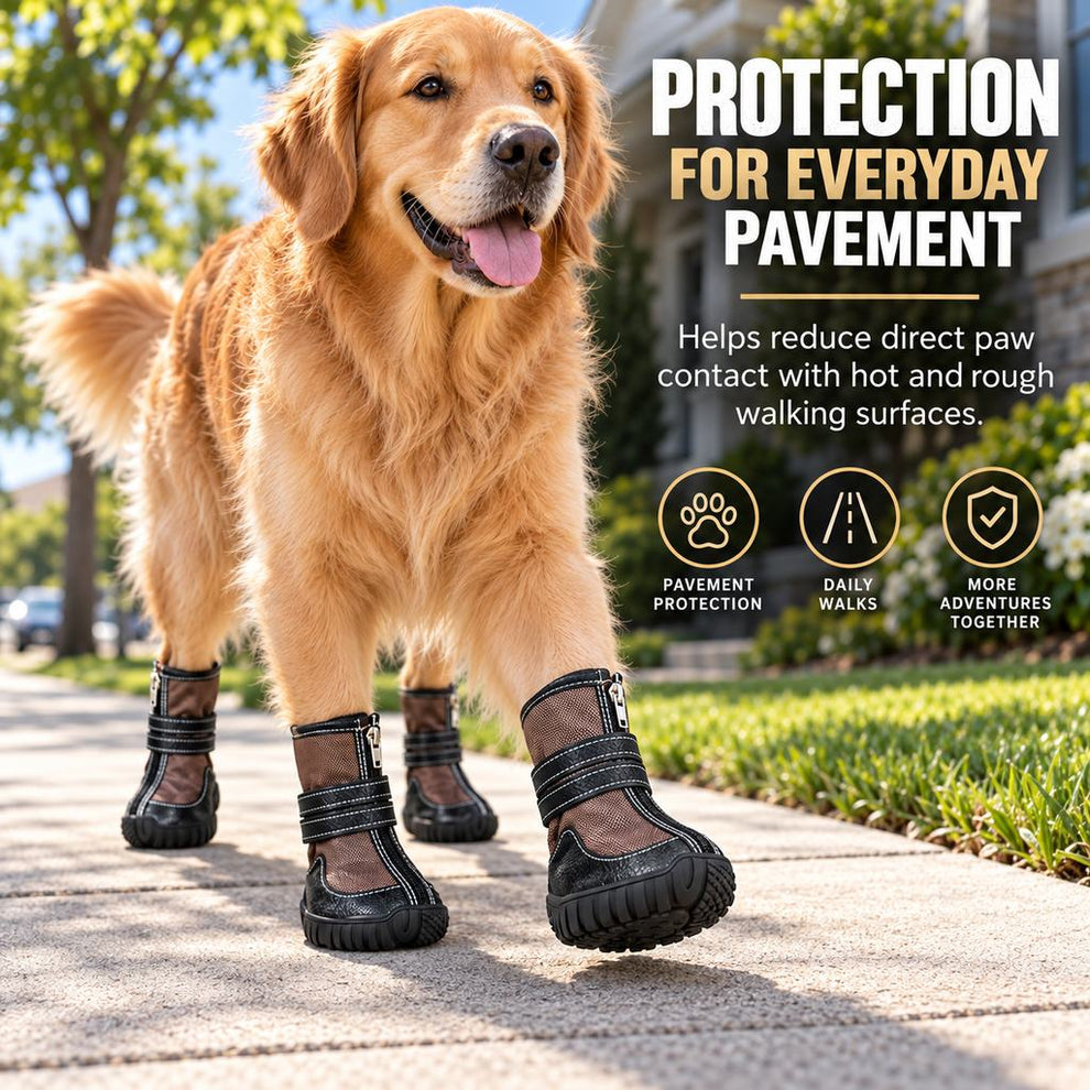 High-top dog boots for everyday pavement walking