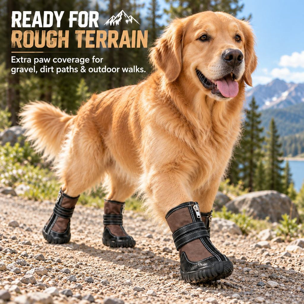 High-top dog boots for gravel paths and rough terrain