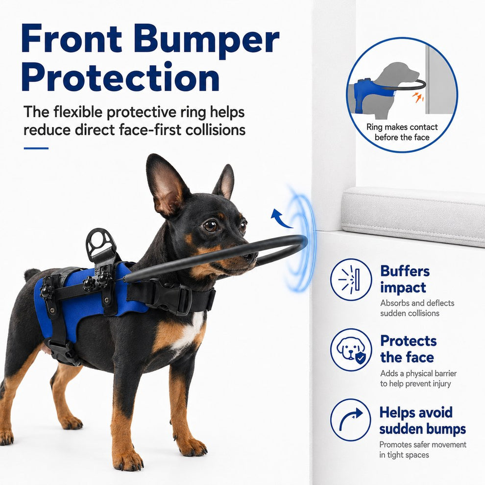 Paws in Awe Adjustable Dog Bumper Ring Harness for Safer Home Walking - Helps Blind & Senior Dogs Avoid Wall & Furniture Bumps image 3