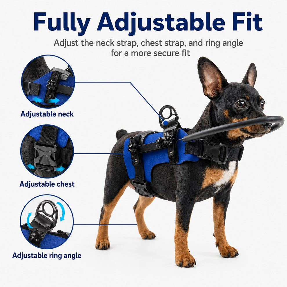 Paws in Awe Adjustable Dog Bumper Ring Harness for Safer Home Walking - Helps Blind & Senior Dogs Avoid Wall & Furniture Bumps image 5