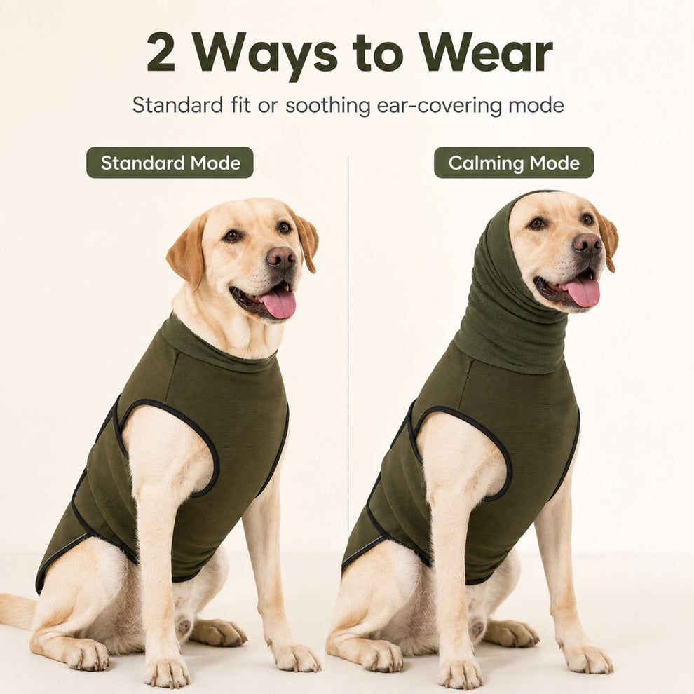 Paws in Awe Dog Calming Shirt for Fireworks & Thunderstorms - Anxiety Relief Wrap with Ear-Covering Hood for Vet Visits, Travel & Night Walks image 9