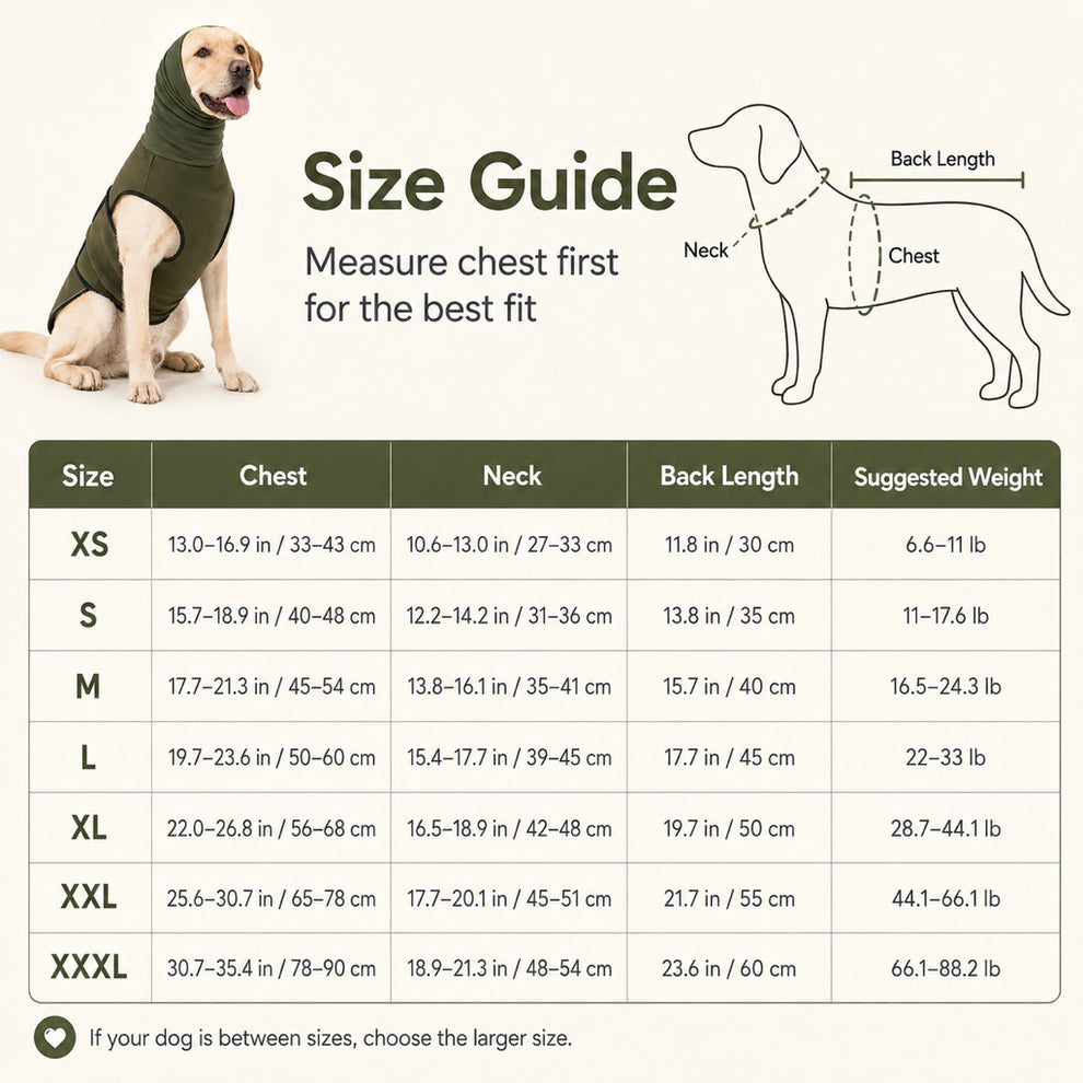 Paws in Awe Dog Calming Shirt for Fireworks & Thunderstorms - Anxiety Relief Wrap with Ear-Covering Hood for Vet Visits, Travel & Night Walks image 11