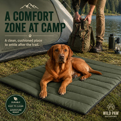 Dog camping bed comfort zone at campsite