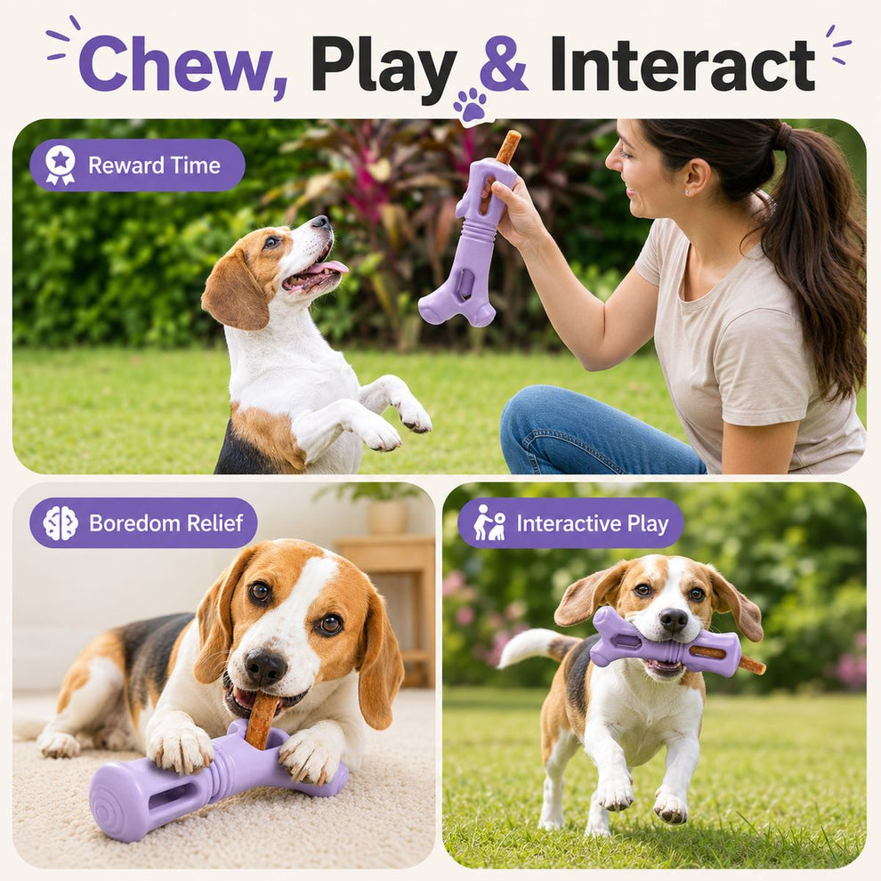 Dog chew stick holder for reward time, boredom relief, and interactive play.
