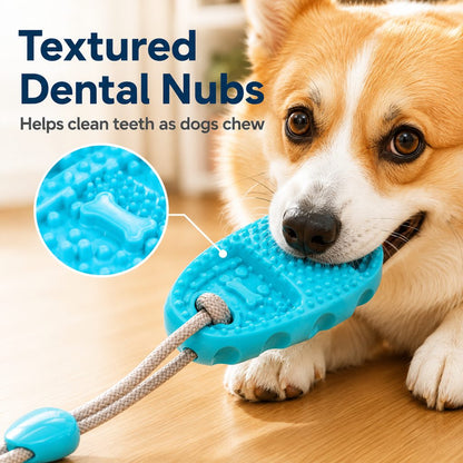 Paws in Awe Suction Cup Dog Chew & Tug Toy for Indoor Play - Helps Redirect Shoe Chewing & Burn Boredom image 6