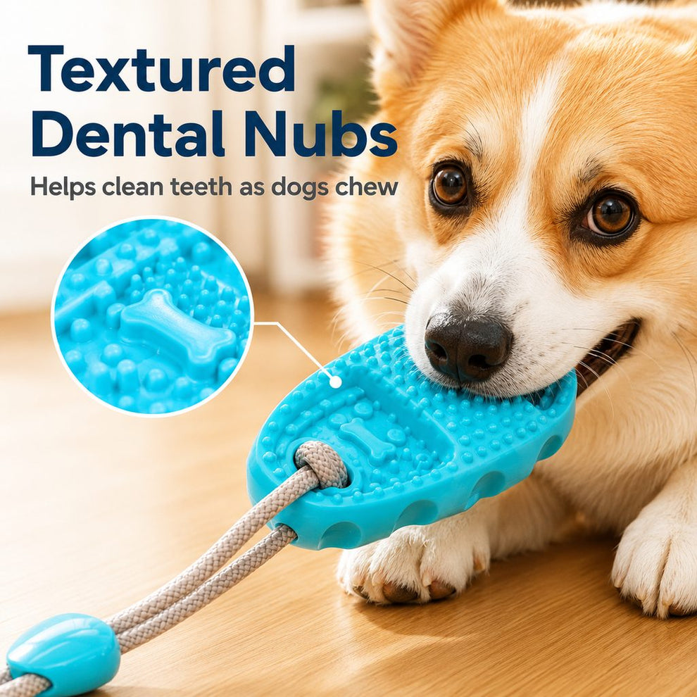 Paws in Awe Suction Cup Dog Chew & Tug Toy for Indoor Play - Helps Redirect Shoe Chewing & Burn Boredom image 6