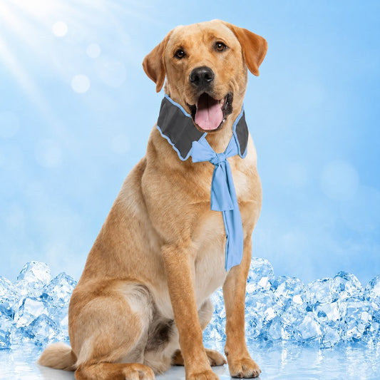 Paws in Awe Dog Cooling Neck Wrap for Summer Walks, Hiking & Beach Days – Water-Activated Cooling Collar Scarf for Hot Weather Comfort image 1
