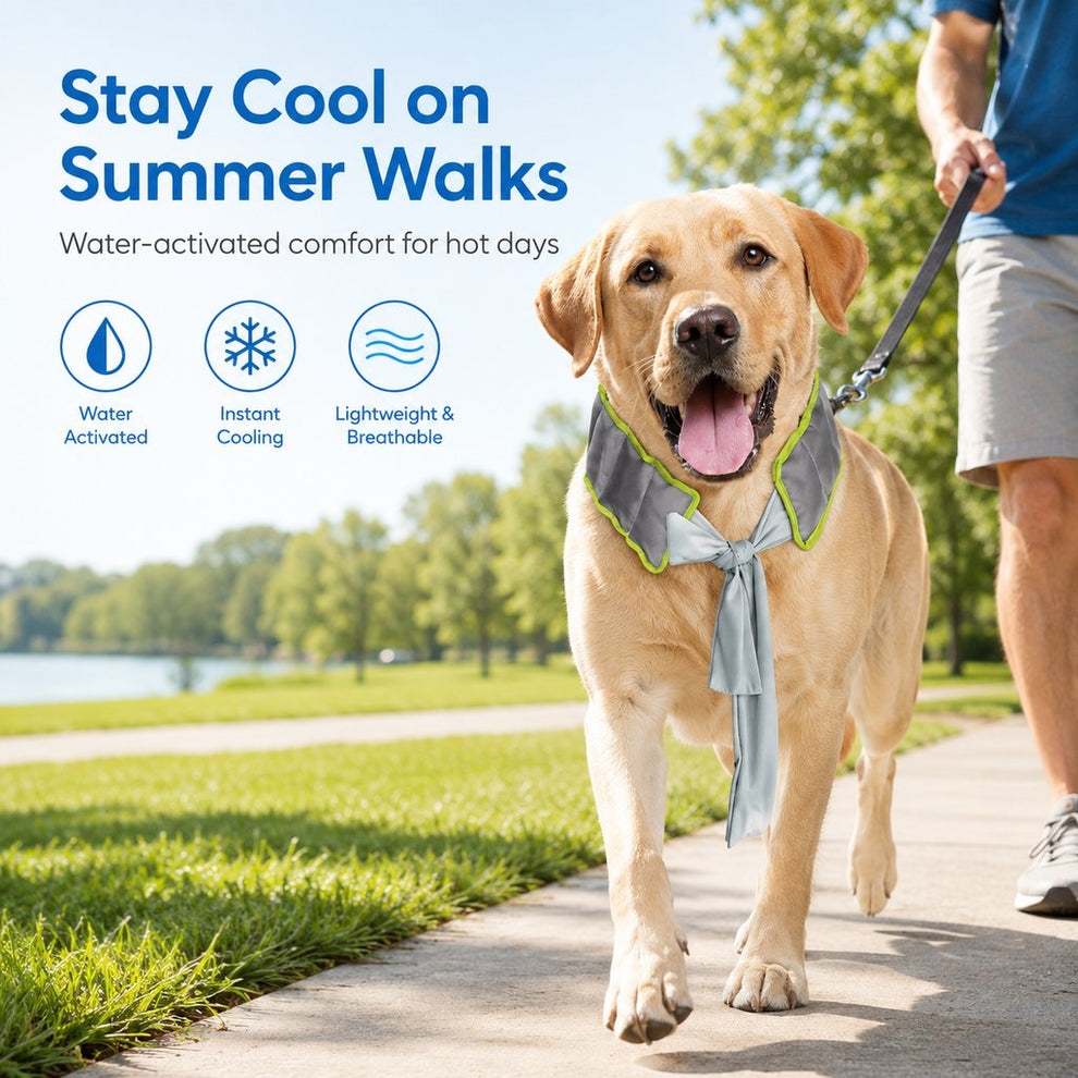 Paws in Awe Dog Cooling Neck Wrap for Summer Walks, Hiking & Beach Days – Water-Activated Cooling Collar Scarf for Hot Weather Comfort image 3