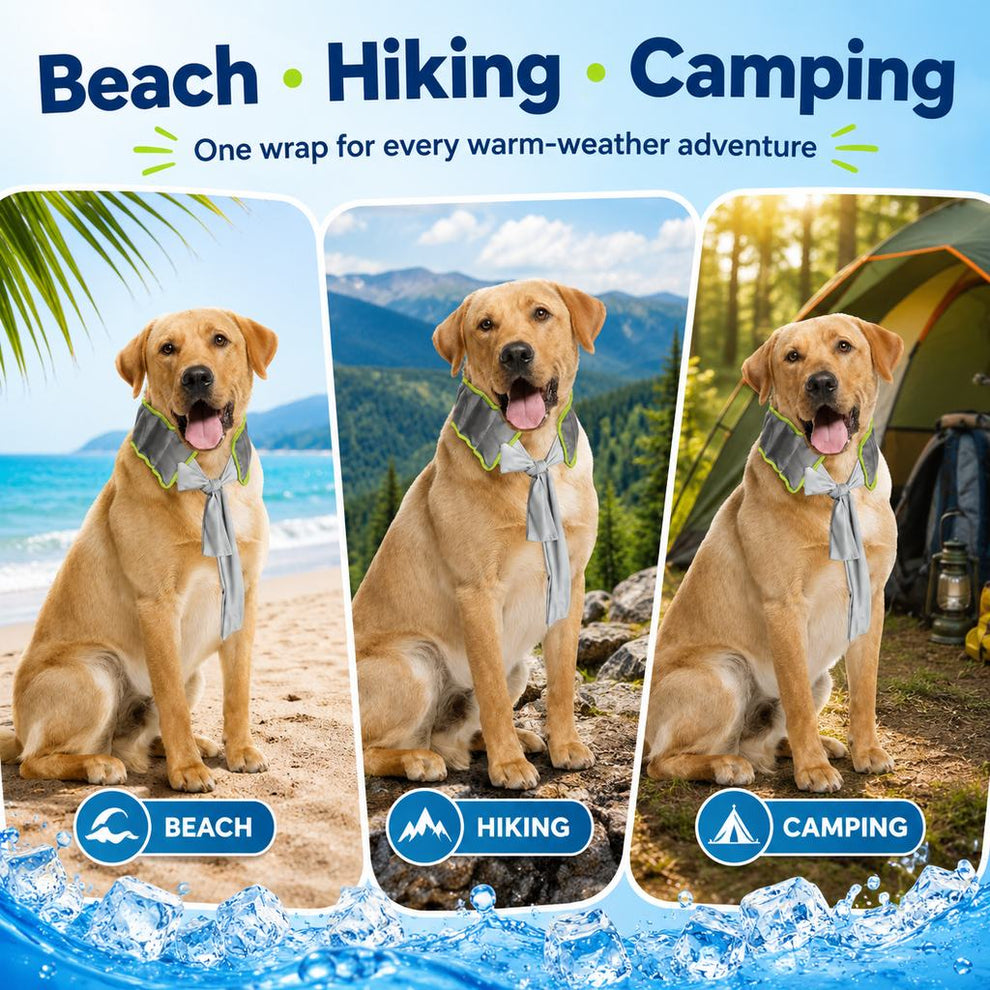 Paws in Awe Dog Cooling Neck Wrap for Summer Walks, Hiking & Beach Days – Water-Activated Cooling Collar Scarf for Hot Weather Comfort image 4