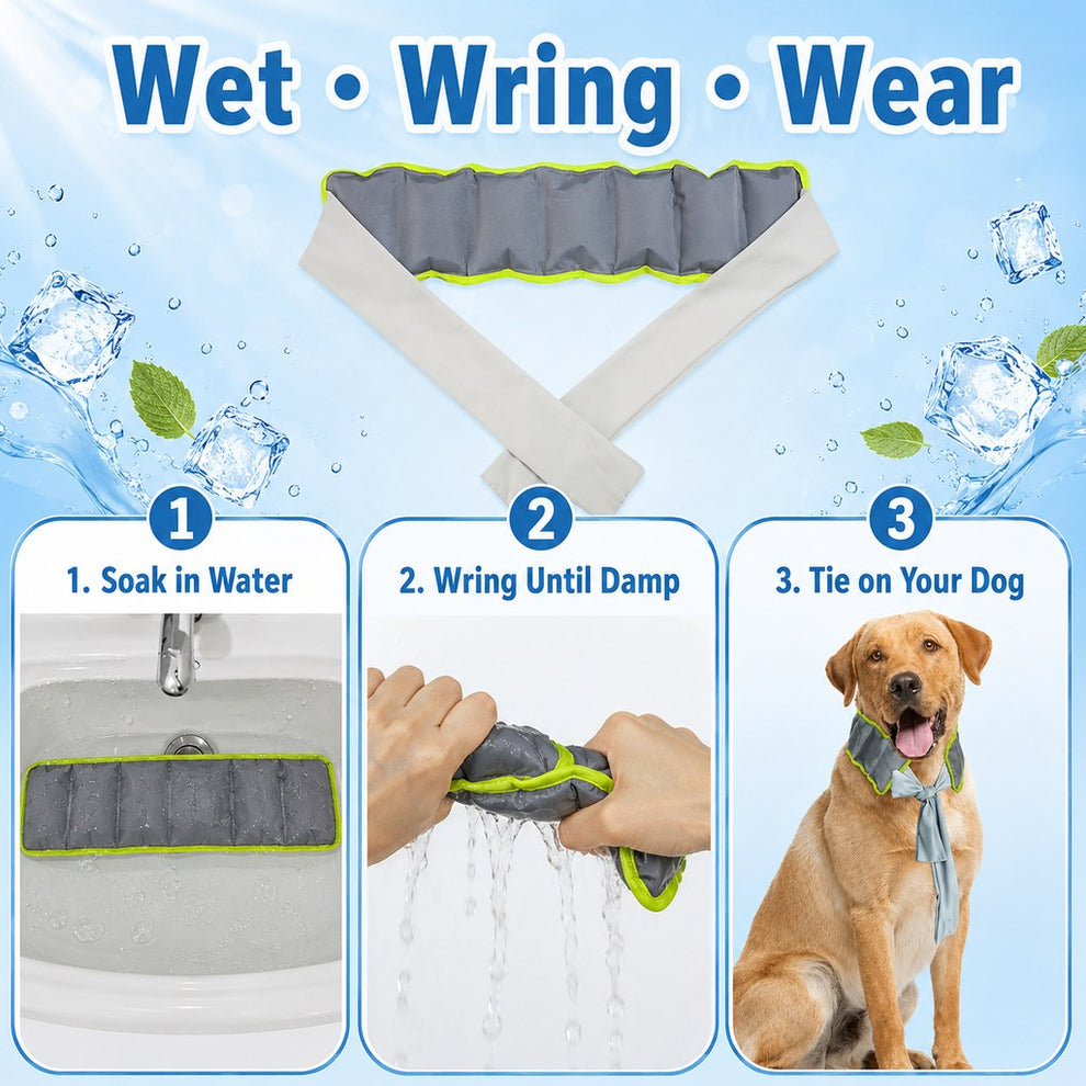 Paws in Awe Dog Cooling Neck Wrap for Summer Walks, Hiking & Beach Days – Water-Activated Cooling Collar Scarf for Hot Weather Comfort image 5