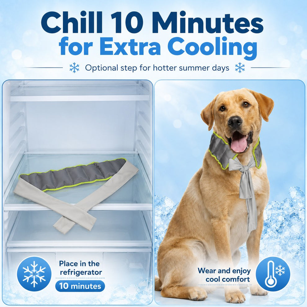 Paws in Awe Dog Cooling Neck Wrap for Summer Walks, Hiking & Beach Days – Water-Activated Cooling Collar Scarf for Hot Weather Comfort image 6