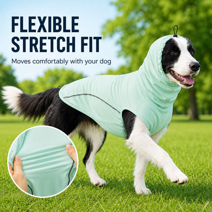 Paws in Awe Dog Cooling Sun Protection Shirt for Summer Walks - Lightweight Full-Coverage Outdoor Wear image 6