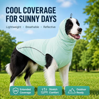 Paws in Awe Dog Cooling Sun Protection Shirt for Summer Walks - Lightweight Full-Coverage Outdoor Wear image 2