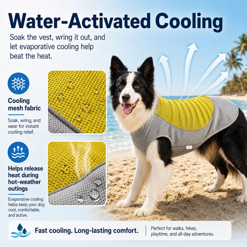 Paws in Awe Water-Activated Dog Cooling Vest for Summer Walks & Hikes - Breathable Heat-Relief Vest with Ice Pack Pocket image 6