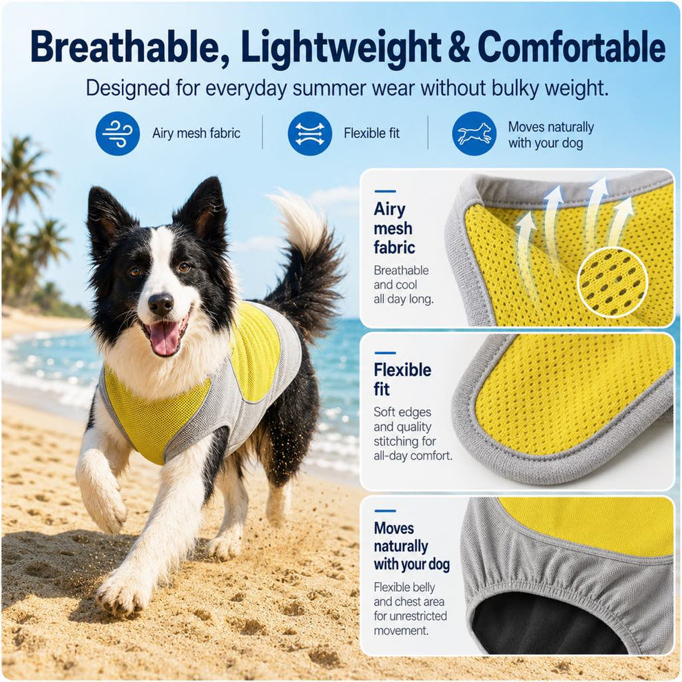 Paws in Awe Water-Activated Dog Cooling Vest for Summer Walks & Hikes - Breathable Heat-Relief Vest with Ice Pack Pocket image 5