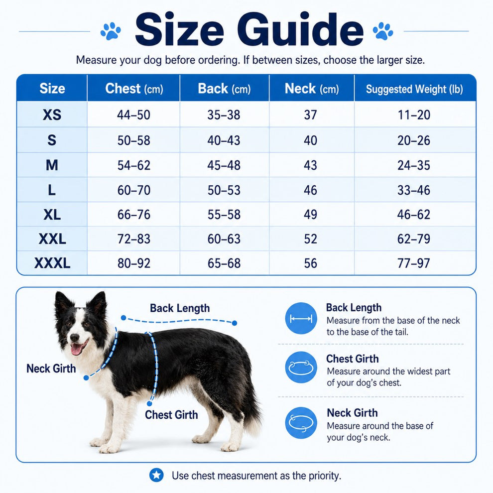 Paws in Awe Water-Activated Dog Cooling Vest for Summer Walks & Hikes - Breathable Heat-Relief Vest with Ice Pack Pocket image 9
