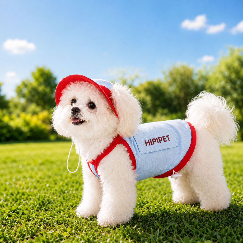 Paws in Awe Dog Cooling Vest and Sun Hat Set – Keep your dog cool and comfortable during hot summer walks. image 1