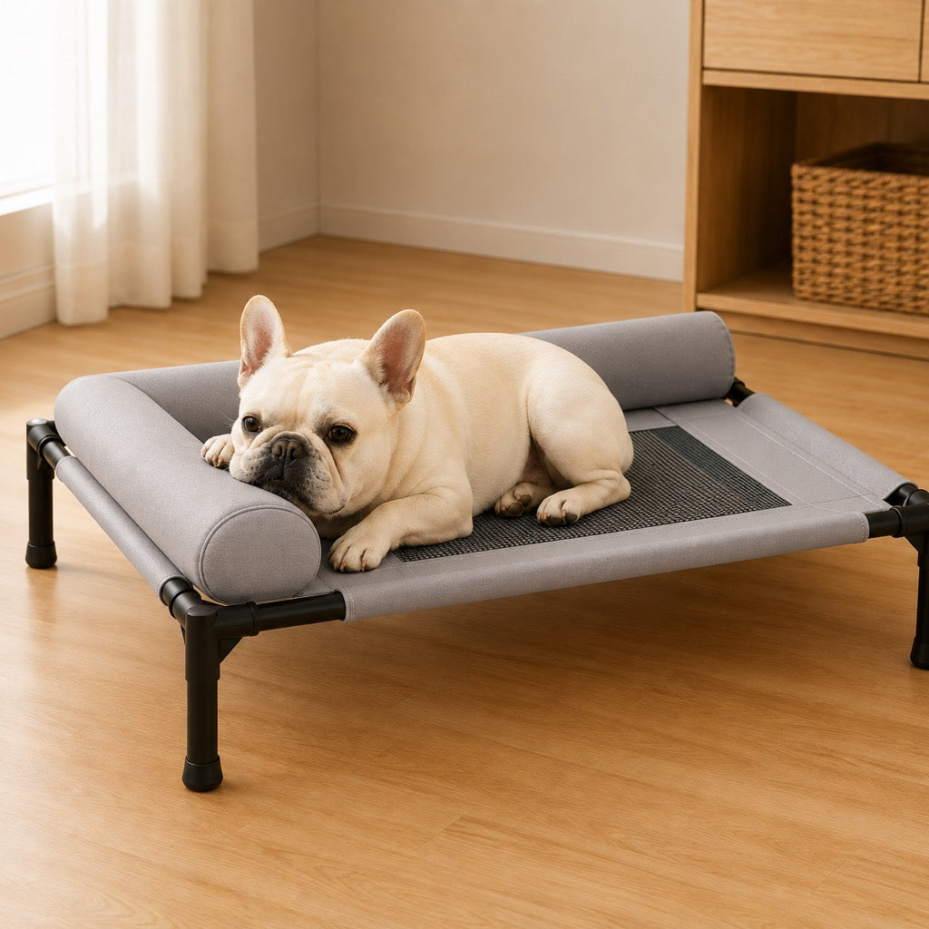 Dog cot for small and medium dogs, Frenchies, Pugs, and Corgis