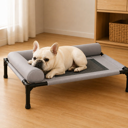 Dog cot for small and medium dogs, Frenchies, Pugs, and Corgis