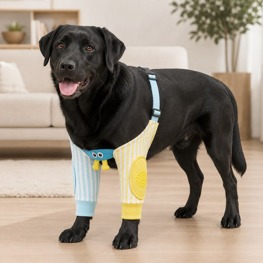 Blue and yellow stripe dog elbow protector sleeves on dog