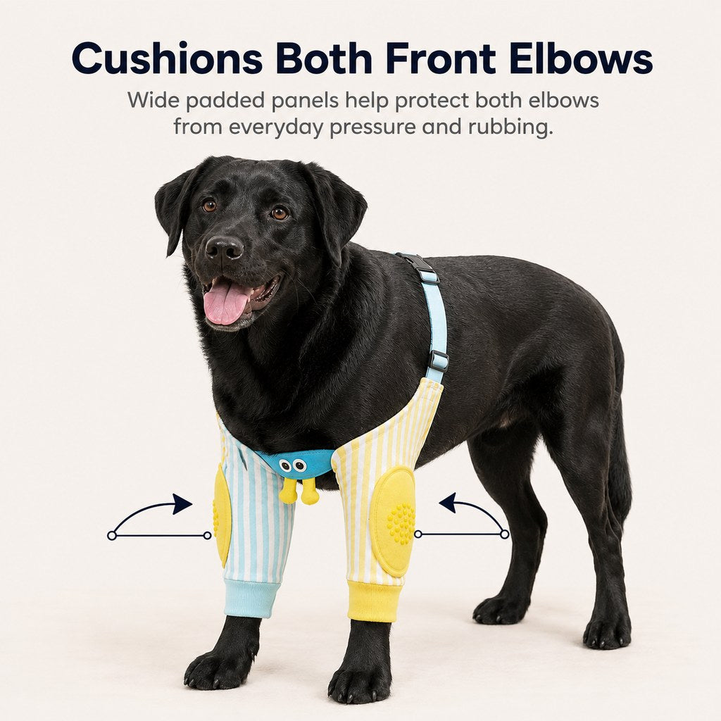 Padded dog elbow protector sleeves cushion both front elbows
