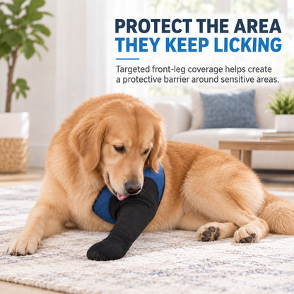 Dog anti-lick front leg sleeve protecting a frequently licked area