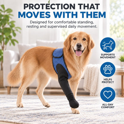 Dog front leg protective sleeve for supervised daily movement