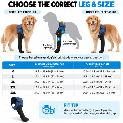 Dog front leg brace left and right leg size guide