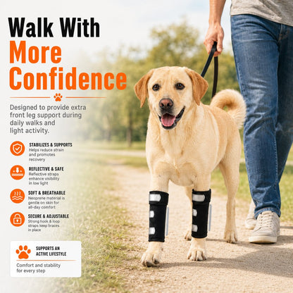 Paws in Awe Dog Front Leg Brace for Weak or Injured Legs - Adjustable Support for Stability, Recovery & Daily Walking Comfort image 3