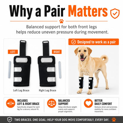 Paws in Awe Dog Front Leg Brace for Weak or Injured Legs - Adjustable Support for Stability, Recovery & Daily Walking Comfort image 7