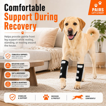 Paws in Awe Dog Front Leg Brace for Weak or Injured Legs - Adjustable Support for Stability, Recovery & Daily Walking Comfort image 5