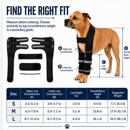 Dog double front leg support brace size guide