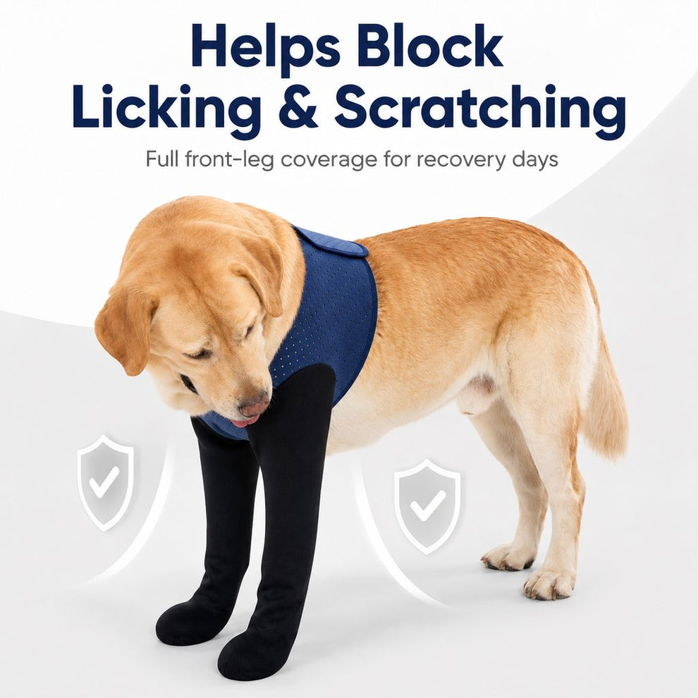 Paws in Awe PawGuard Dual Front Leg Recovery Sleeves for Dogs - Cone-Free Anti-Lick Protection for Post-Surgery, Scratching & Sensitive Front Legs image 5