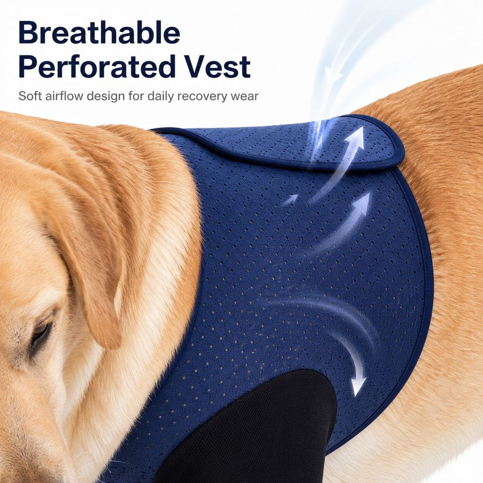 Paws in Awe PawGuard Dual Front Leg Recovery Sleeves for Dogs - Cone-Free Anti-Lick Protection for Post-Surgery, Scratching & Sensitive Front Legs image 6