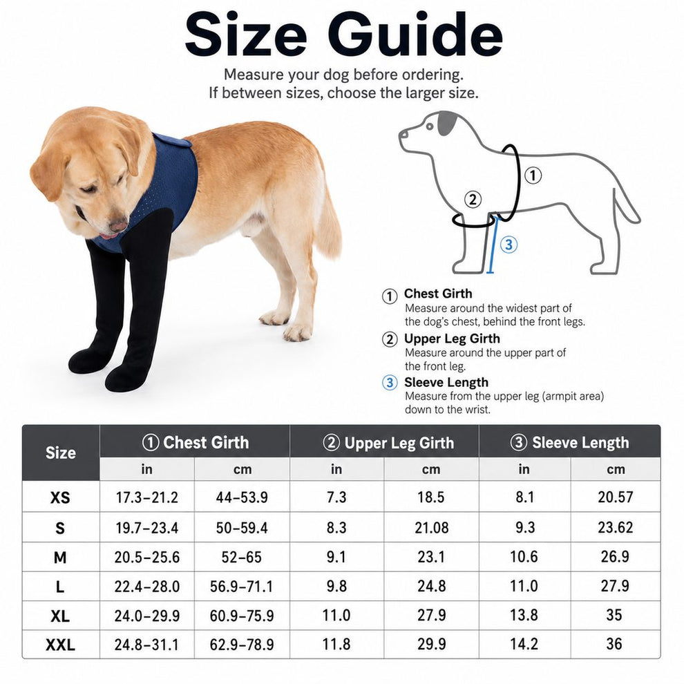 Paws in Awe PawGuard Dual Front Leg Recovery Sleeves for Dogs - Cone-Free Anti-Lick Protection for Post-Surgery, Scratching & Sensitive Front Legs image 10
