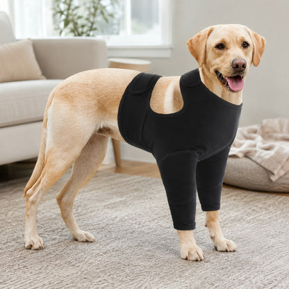 Black dog front leg recovery suit for at-home care