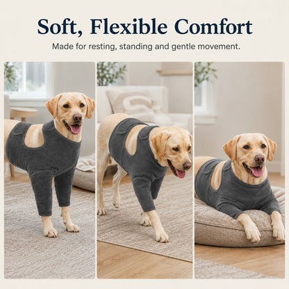 Soft flexible dog recovery clothing for resting and gentle movement