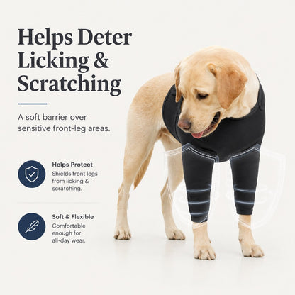 Dog front leg recovery suit helps deter licking and scratching