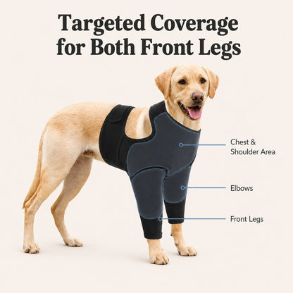 Targeted coverage for chest shoulders elbows and both front legs
