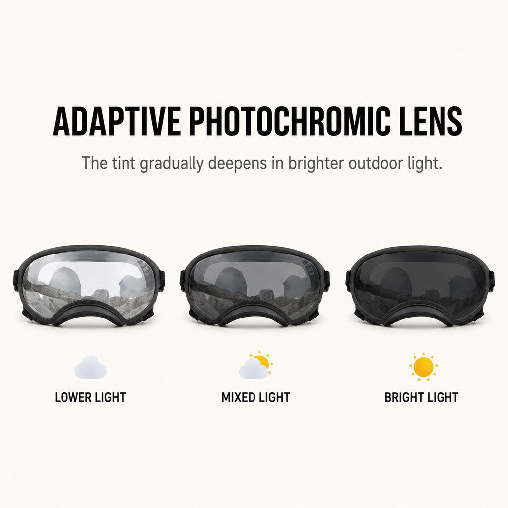 Photochromic dog goggles lens demonstration