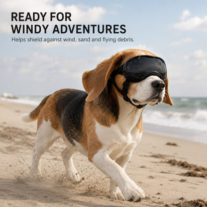 Dog wearing outdoor goggles on a windy beach adventure