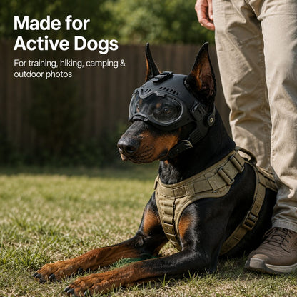 K9 tactical-style dog helmet with goggles for outdoor training
