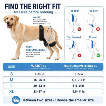 Dog hip and rear leg support brace package contents