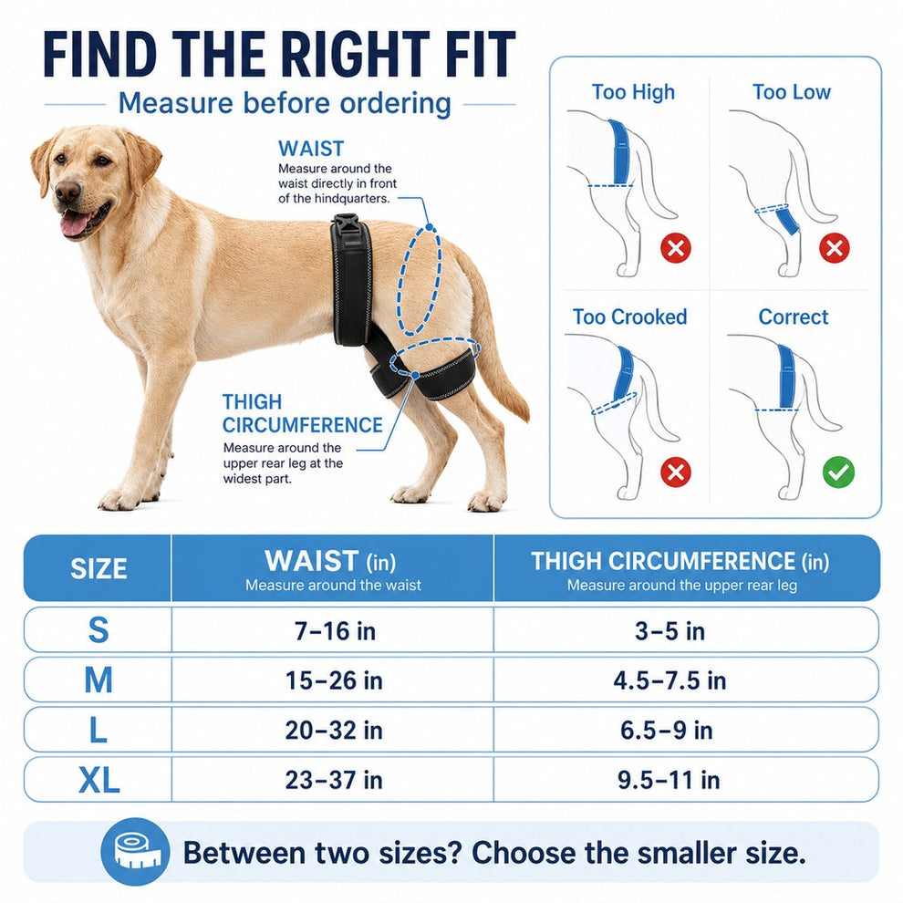 Dog hip and rear leg support brace package contents