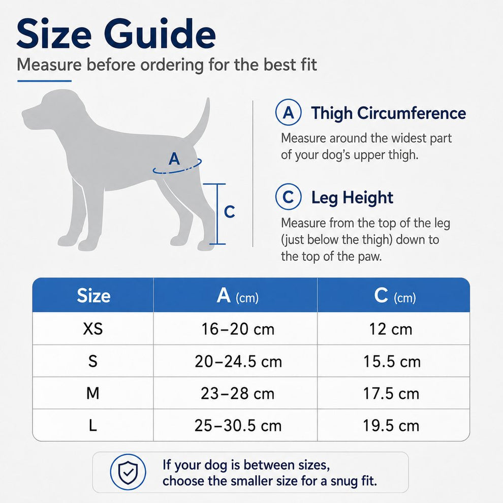 Paws in Awe Adjustable Dog Joint Support Brace for Daily Walks & Senior Leg Stability image 11