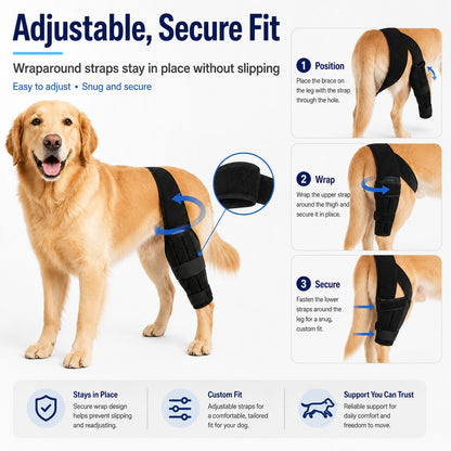 Paws in Awe Adjustable Dog Leg Support Brace for Daily Walks - Support for Weak Front or Hind Legs image 3