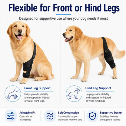 Paws in Awe Adjustable Dog Leg Support Brace for Daily Walks - Support for Weak Front or Hind Legs image 7